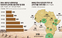 ‘마지막 블루오션’아프리카 가전시장 공략에 팔 걷은 삼성-LG