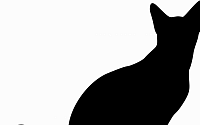 ‘이웃집 고양이 소리에 방화’ 60대 구속영장