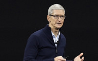 애플, 특별 배당 계획 부인…“미국서 신규 고용 및 투자할 것”