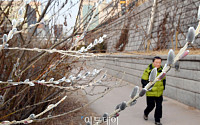 [포토] 대동강이 풀리는 '우수(雨水)' 봄 재촉하는 버들강아지