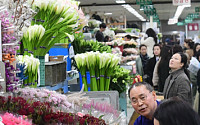 [포토] 봄기운 가득한 꽃시장