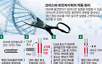 [바이오줌인] 올해 최고 유망기술 ‘유전자가위’ 기술 경쟁 가속도