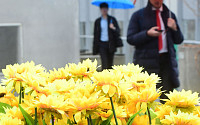 [포토] 봄비 내리는 출근길... '화려한 우산 쓰고'