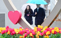 [포토] 사랑의 계절 봄 재촉하는 빗방울