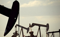 “철강 관세가 美 석유산업에 악영향”