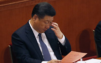 절대권력 쥔 시진핑, 중국 경제에 미칠 영향은…적합한 인물 아냐 vs. 지속적 개혁 가능