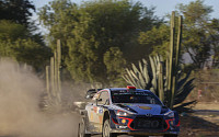 현대차, WRC 3차전 멕시코 랠리서 제조사 부문 1위