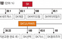 최태원·최창원 SK건설 상장 계기 계열분리 끝내…반도체·제약 집중