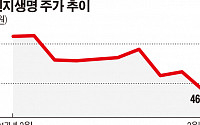 대주주 바뀌면 배당 매력 ‘뚝’…ING생명, M&amp;A 거론에 뒷걸음