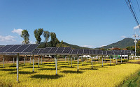 한수원, 국내 최초 ‘영농병행 태양광발전 시스템’ 특허 획득
