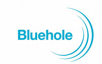 블루홀, ‘배틀그라운드’ 효자 덕에 1년 새 매출 13배 증가