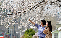 [일기예보] 오늘 날씨, 전국 대체로 맑고 따뜻 '서울 낮 18도'…벚꽃 만개 &quot;미세먼지 '보통'&quot;