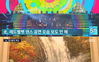 '봄이 온다' 레드벨벳, 北 조선중앙TV서 평양 공연 통편집된 이유는?