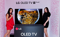 LG전자, 인공지능 올레드 TV 글로벌 판매 개시