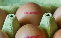 미국서 달걀 2억개 회수…살모넬라균 감염 비상