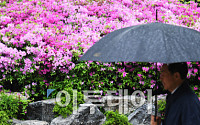 [내일 날씨] “출근길 우산 챙기세요”…일부 강한 바람 동반