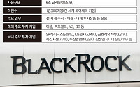 투자 귀재 블랙록, SK-LG 등 국내 대기업 찜했다