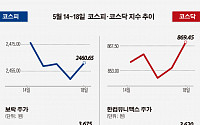 [베스트&워스트] 지난주 코스피, ‘LG그룹 4세 승계’에 보락 67.05% 급등