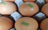 전남 나주산 계란에서 살충제 성분…난각코드 ‘SR8MD’