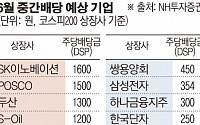 ‘6월의 보너스’ 중간배당 기대감 '솔솔'