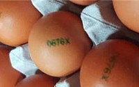 경기도 파주산 계란 살충제 성분 검출…난각코드 O676Xㆍ08LDW