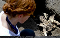 고대도시 폼페이 '최후의 날'…당시 상황 담은 유해 발굴