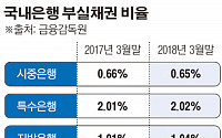 한국GM 사태·조선업 구조조정 '지역경제 파탄'… 지방은행 부실채권비율 '상승곡선'