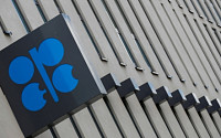 OPEC 총회 ‘D-day’…일일 100만 배럴 증산 놓고 산유국 입장 차
