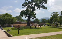 엄마의 버킷리스트