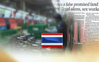 태국인, 중국 제치고 순유입 1위…불법체류 90%에 '유흥·마사지업종' 주로 취업