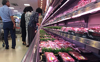 구제역 여파에도 쇠고기 가격은 하락…지난해보다 1~7% 떨어져