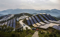 애플, 중국서 3억 달러 청정에너지 펀드 조성