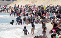 펄펄 끓는 날씨에 부산 해수욕장 올해 여름 최대인 77만명 몰려