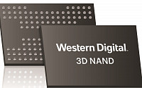 웨스턴디지털, QLC기반 96단 3D낸드 기술 개발