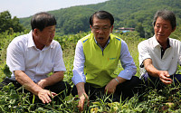 서기봉 NH농협생명 사장, 폭염피해 농가 지원 위한 피해 농가 방문