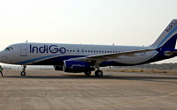 부활하는 인도 항공운송산업