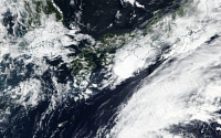 일본, 제21호 태풍 제비 상륙에 비상…신칸센 운행 중단·공장 문 닫아