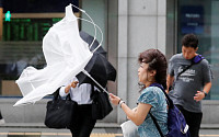 일본, 태풍 '제비' 피해 상황 보니? 간사이공항·오사카역 등 운행 취소…솟구치는 파도 '경악'