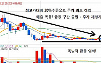 100만원을 순식간에 1억원대로 불러줄 세계1위 종목!