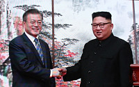 [종합] 문재인 대통령 '대화 재개ㆍ독자적 남북사업' 제안...한반도 위기 돌파구 찾나