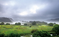 도시의 난리통 속에서 ‘늪’에 빠진 이들이여, 우포늪으로 오라