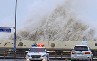 태풍 ‘콩레이’ 비바람 강해지는 남부… 항공기 결항·도로 통제 잇따라