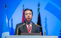 ‘중국서 체포’ 멍훙웨이 인터폴 총재, 사임…한국인 김종양 부총재 대행