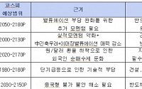 &quot;2월 국내 증시 조정장세 지속&quot;