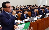 [포토] 2018 국감, 답변하는 조기행 SK건설 부회장