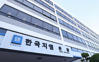 한국지엠 법인 분리 효력정지 결정 초읽기…법정 다툼 연장전 불가피