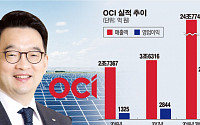 [종합] 이우현 “폴리실리콘 판매 15% 감소…공장 가동률 낮췄다”