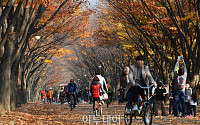 [포토] 낙엽 즈려밟으며…인천대공원의 가을