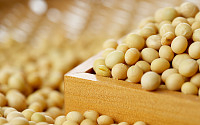 미ㆍ중 무역분쟁 영향으로 미국 콩 수입 16% 늘었다