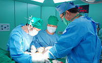 국내 대표적 관절염 치료기관 ‘웰튼병원’